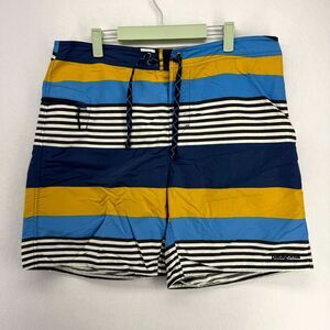 Patagonia Embroidered Board Shorts Bathing Suit Striped‎ Mens Size 36